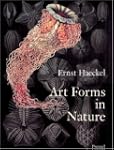 Art Forms in Nature: The Prints of Er...