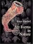 Art Forms in Nature: The Prints of Ernst Haeckel