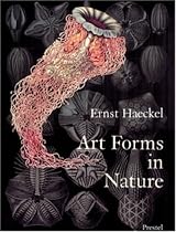 Art Forms in Nature: Prints of Ernst Haeckel