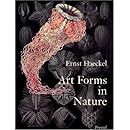 Art Forms in Nature: The Prints of Ernst Haeckel