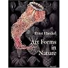 Art Forms in Nature: Prints of Ernst Haeckel