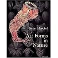 Art Forms in Nature: The Prints of Ernst Haeckel