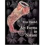 Art Forms in Nature: Prints of Ernst Haeckel