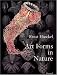 Art Forms in Nature: The Prints of Ernst Haeckel (Monographs)