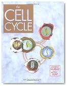 The Cell Cycle: An Introduction