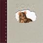 The Boat (Creative Editions)
