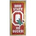 Ohio State Buckeyes NCAA Door Flag