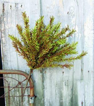 Artificial EVA Pine Bush in Sage Green with Berries - 21" Ta