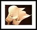 Sepia Two Lilies Floral Flower Framed Art Poster Print - 20
