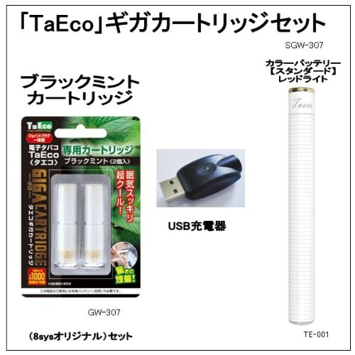 電子タバコ　ギガTaEco 3点セット　【ブラックミントカートリッジ】+ACアダプタープレゼント中！