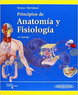 Principios de anatomia y fisiologia / Principles of ...