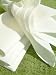 White Napkin Linen Cotton Top Quality