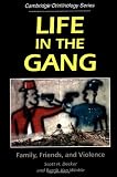 Life in the Gang: Family, Friends, and Violence (Cambridge Studies in Criminology)
