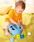 Shape Sorter Curioso