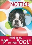 New Creative Boston Terrier There is no 