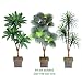 Three 6' Triple Head Artificial Trees: Bird Nest + Fan Palm + Yucca, with No Pot, Minor Assembly Required.