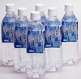 黒部の氷筍水 500ml×24本×2ケース