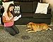 Permanent Pet Odor Eliminator Spray - Best for Cat & Dog Urine Carpet Stains - Safe Enzyme Formula - Miracle Cleaner to Eliminate Stains & Smells - Natures Neutralizer At the Molecular Level(1 gallon)