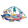 Baby Einstein Baby Neptune Ocean Adventure Play Gym