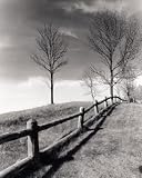 Fences And Trees, Empire, Michigan - Artist: Monte Nagler - Art Print Poster Size: 8.00 by 10.00 inches