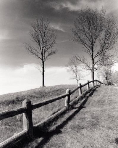 Fences And Trees, Empire, Michigan - Artist: Monte Nagler - Art Print Poster Size: 8.00 by 10.00 inches