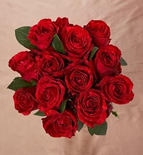 Autograph Red Intuition® Roses - Dozen