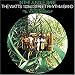 In the Jungle, Babe [Reissue]