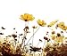 Old-fashioned Flower - Made with Photoshop from My Originals - 24