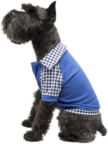 Legitimutt Cotton Polo Dog T-Shirt with Gingham, Medium, Blue