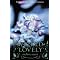 Paranormal romance with a twist: wings, horns, alien erotica