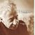 The Rubinstein Collection, vol.49 - 19 Nocturnes