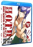 High School of the Dead: Drifters Of The Dead Edition (Series & OVA) Blu-ray