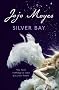 Silver Bay