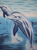 Dolphins - 100% Polyester Fleece Throw - 50 Inches by 60 Inches