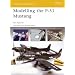 Modelling the P-51 Mustang (Osprey Modelling)