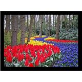 Picture Frame .75 Satin Black Stem - .875 Rabbet .. 0.75'' wide