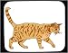 Mouse Pad with hane, domestic, cat, pet, katt, animal, tabby, feline