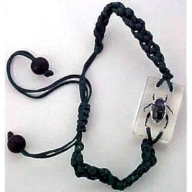Metallic Blue Beetle In Lucite Bracelet Real Insect Bug