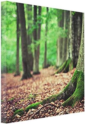 LetterT Transfer Photos To Canvas Woods Canvas Printing Services Wood Canvas Prints From Photos