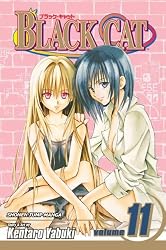 Black Cat, Volume 11 (Black Cat (Graphic Novels)) (v. 11)