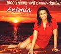 1000 Träume Weit (Tornero)-Remixes