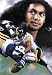 Pittsburgh Steelers (Troy Polamalu) Sports Poster Print - 11x17