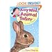 The Lost Treasure (Amy Wild, Animal Talker)