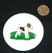 3" button / pin printed with fox, terrier, dog, wire, canine