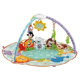 Fisher-Price Precious Planet All Around Musical Playtime Gym
