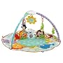 Fisher-Price Precious Planet All Around Musical Playtime Gym