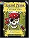 Haunted Pirates Stained Glass Coloring Book (Dover Pictorial Archive)