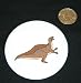 All Products : 3" button / pin printed with Ouranosaurus