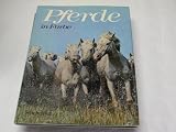 Produkt-Bild: Pferde in Farbe.