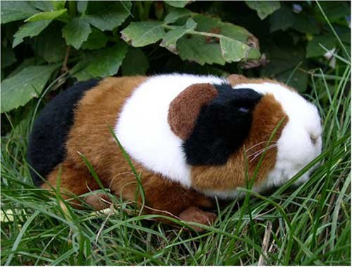 Childrens Toyshop  Spielwaren : Plüschtier Meerschweinchen  -  18 cm